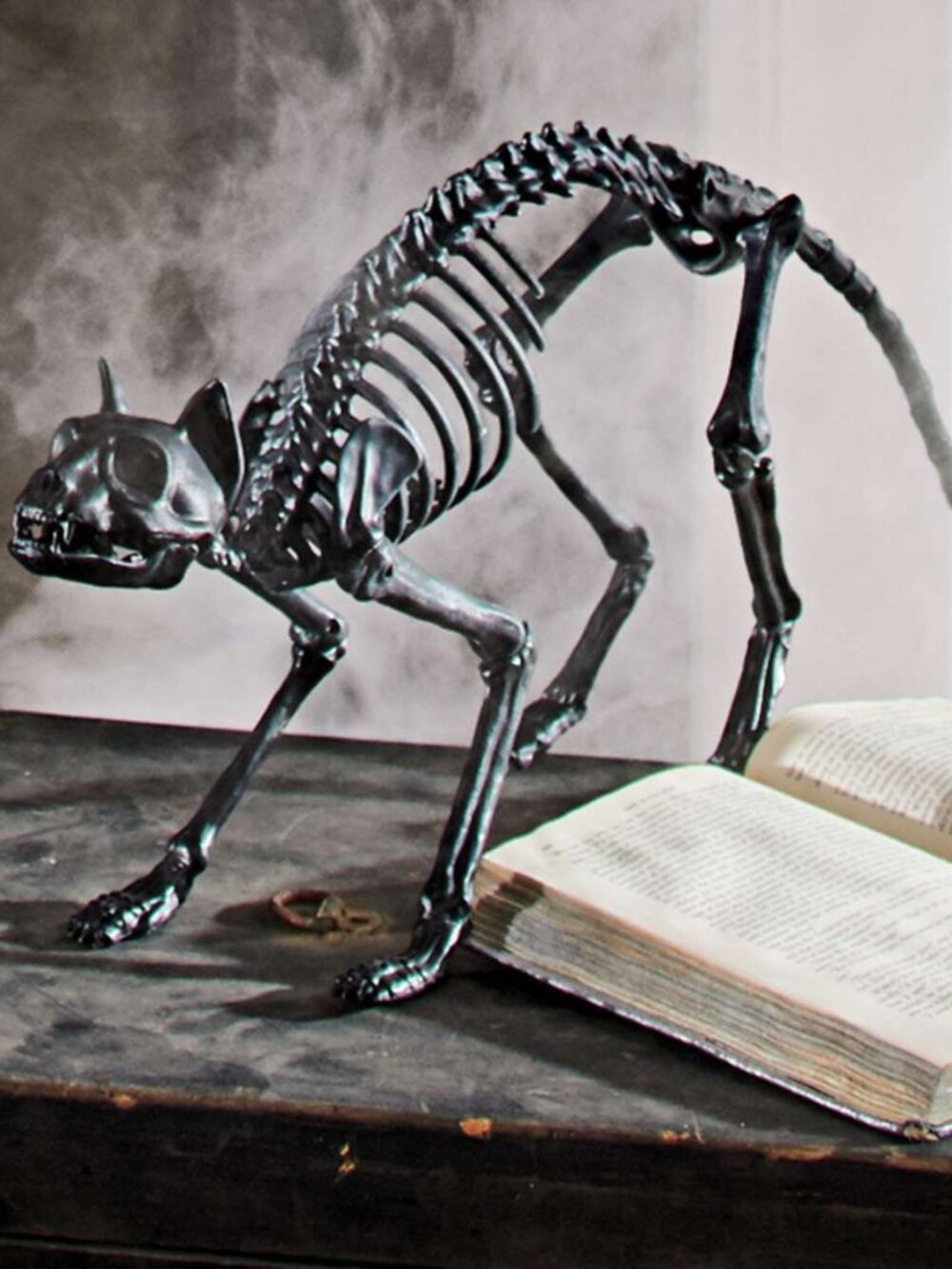 Halloween Grandin Road Skeleton Black Cat 18" wide x11" high
